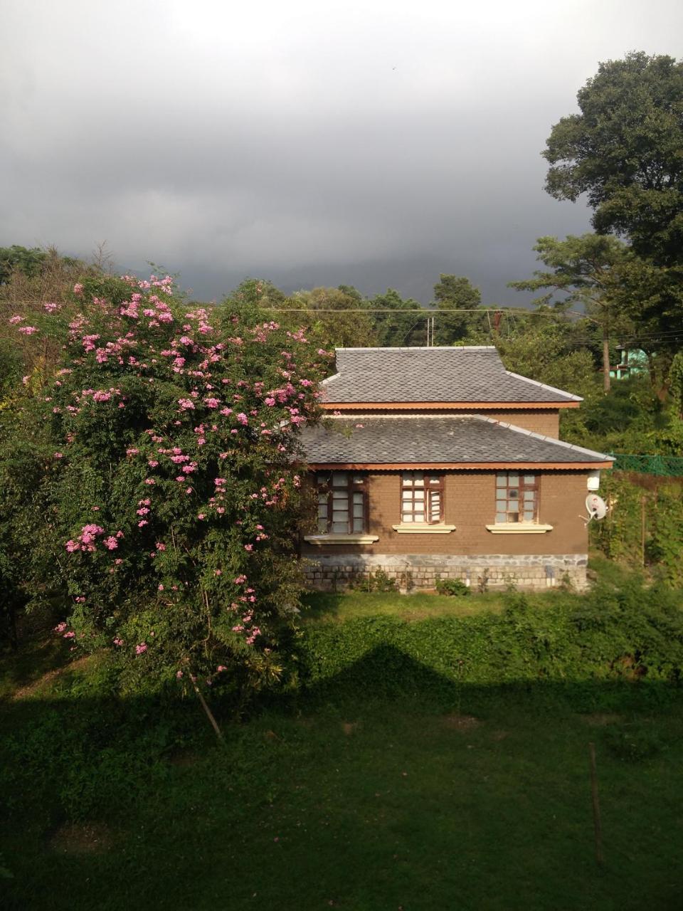 Blossoms Village Resort Dharamshala Exterior photo