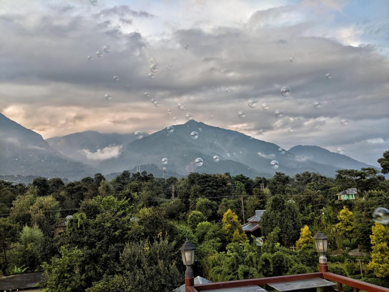 Blossoms Village Resort Dharamshala Exterior photo